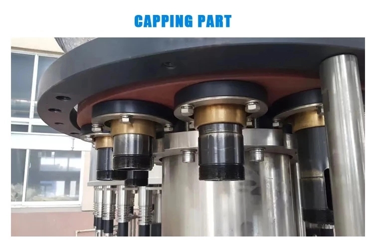 China-Supplier-Oil-Filling-Machine-Soy-Sauce-Vinegar-Seasoning-Vegetable-Oil-Line-Filling-Machine (4).jpg